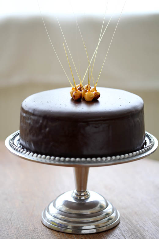 Chocolate Praline Cheesecake - ZoëBakes
